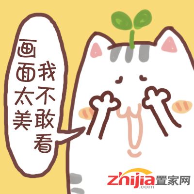 11月石家庄市居民消费价格总水平同比上涨1.3%