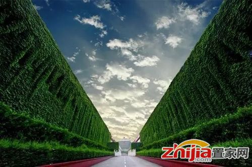河北发布重磅新规:吃住行有大变化