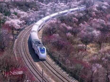 好消息!全国铁路今日调图,早进京津石,当晚可回家!