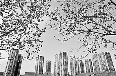 石家庄栾城区为何频频迎来各大房企进驻?