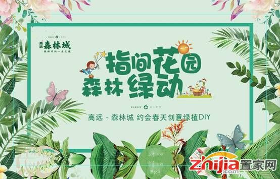 见微知著 绿动森林 高远•森林城创意绿植DIY活动缤纷落幕