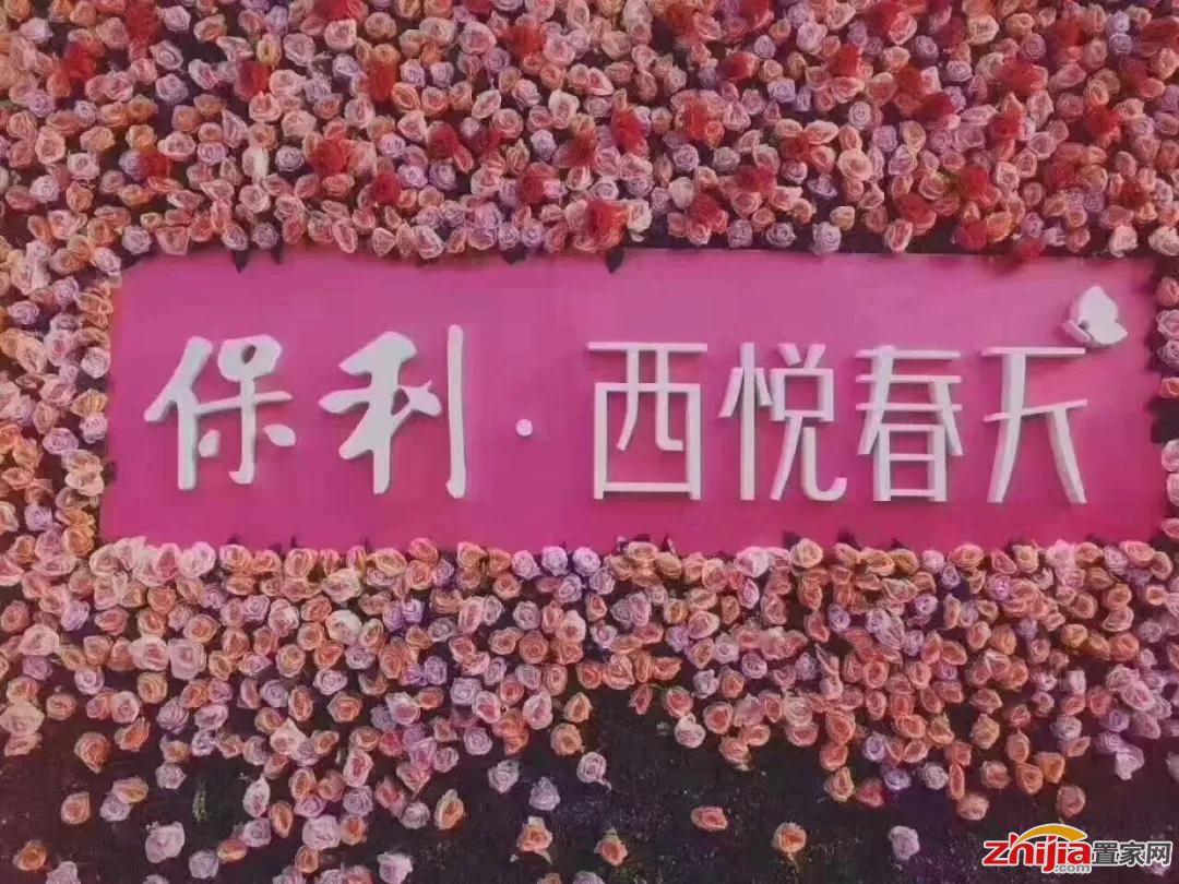 佛系?道系?你向往的生活是什么系?