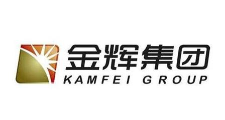 v解密金辉集团,闽系房企中“资优生”的发展要诀