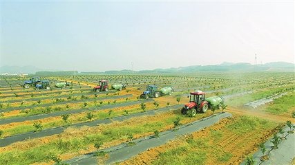 鹿泉区现代农业产业园入选国家现代农业产业园创建名单