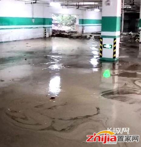 石家庄突降暴雨!一小区地下车库被淹