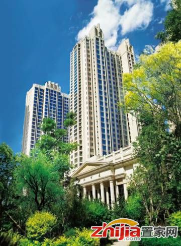 奥北公元50㎡纯一层沿街产权现铺,经营中发售,低价清盘