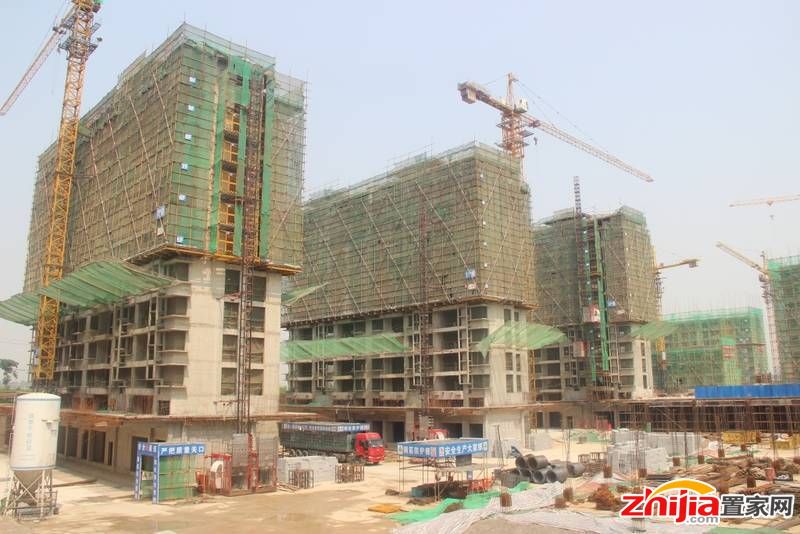 大尚华府 五证齐全洋房、小高层 封顶准现房
