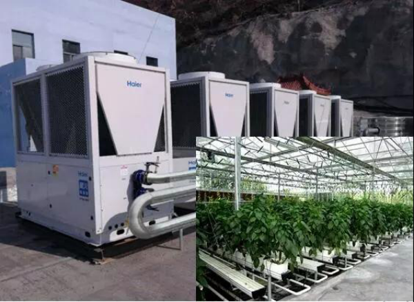 用上海尔空气能取暖,天津蔬菜大棚越冬环保又经济!