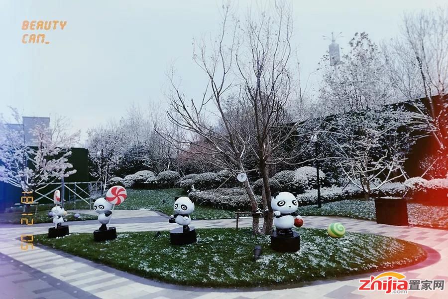 远洋7号,圣诞来袭