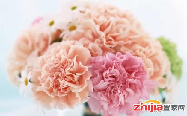 女神节,给她一个属于“我们”的家!