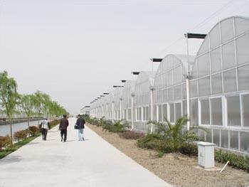 隆尧建16个特色高效农业示范园区 累计增收10.3亿元